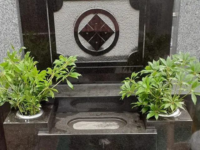 あなたの「大掃除を助けたい！」11月は早割１０％ＯＦＦでお家をスッキリしましょ♪サービスの画像