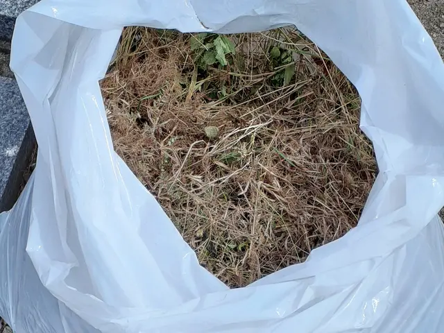 あなたの「大掃除を助けたい！」11月は早割１０％ＯＦＦでお家をスッキリしましょ♪サービスの画像