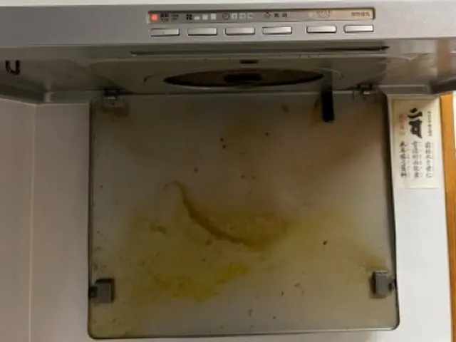 年末のお掃除はお早めに　ピカピカなレンジフード〈安心の法人経営〉サービスの画像