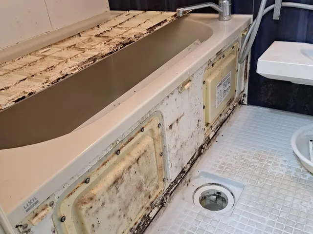 ◎年内のご予約お早めに！！◎店長がお伺い◎ブラシなどの消耗品は新品使用します！サービスの画像