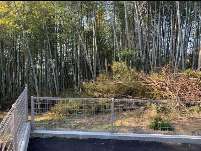 大きな木も対応可能！丁寧な説明と明朗会計でお庭をすっきりお届けします！サービスの画像