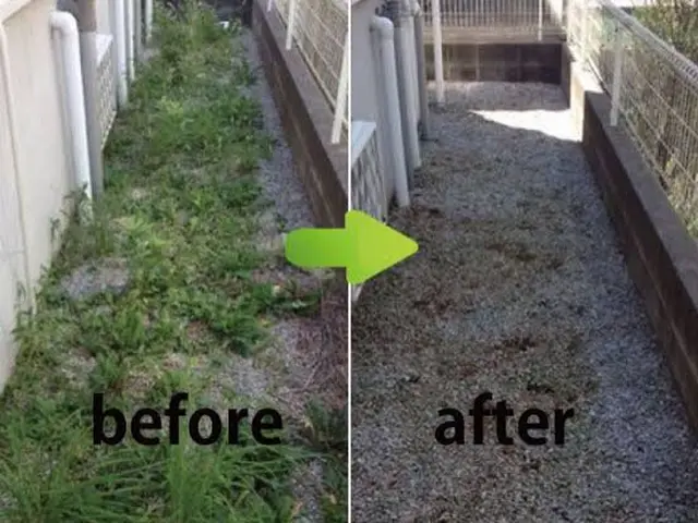 《年中無休・保険加入！》除草剤散布でお手入れラクラク◎手作業で根元から徹底除草！サービスの画像