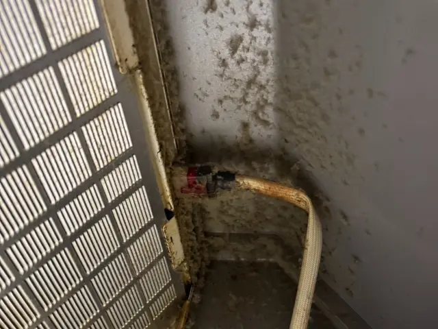 レンジフード（換気選）クリーニングサービスの画像