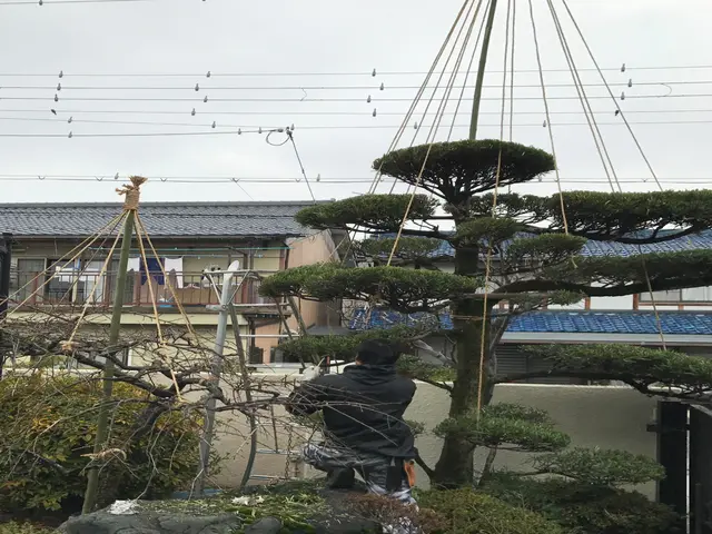 経験18年以上！年間120件の実績で美しい庭づくりをサポートサービスの画像