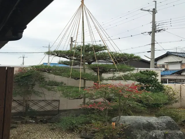 経験18年以上！年間120件の実績で美しい庭づくりをサポートサービスの画像