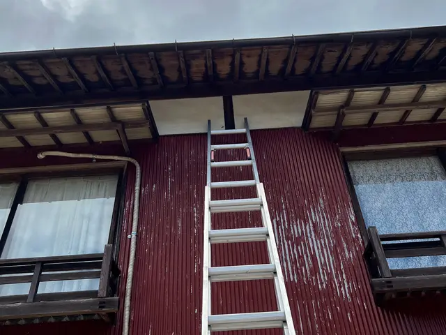 基本料金のハチ種類•大きさ等の追加費用一切無し！ 高さ・場所別途有りサービスの画像