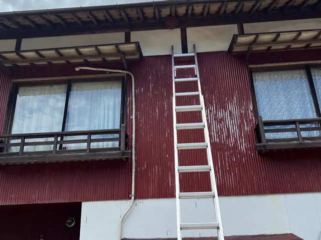 基本料金のハチ種類•大きさ等の追加費用一切無し！ 高さ・場所別途有りサービスの画像