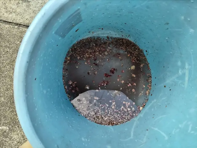 元修理エンジニアのエアコン修理！年式でお断りしません！【7/1より値上げ】サービスの画像