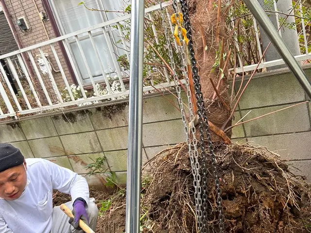 高評価＊リピート多数＊2名作業＊良心価格＊空家対応＊立会なしOK＊現地無料見積可サービスの画像