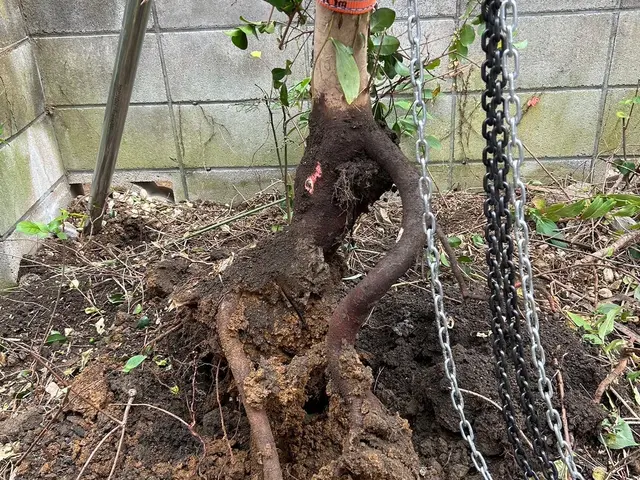 高評価＊リピート多数＊2名作業＊良心価格＊空家対応＊立会なしOK＊現地無料見積可サービスの画像