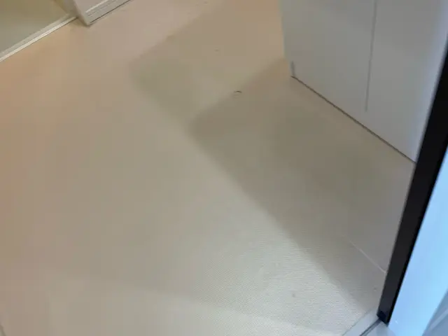 ☆初めての方も安心☆プロの仕事でお客様のキレイな暮らしをお手伝い♪サービスの画像