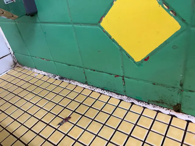 予約から施工まで全て自社対応◎営業時間外も対応可能！水回りはお任せください☆サービスの画像