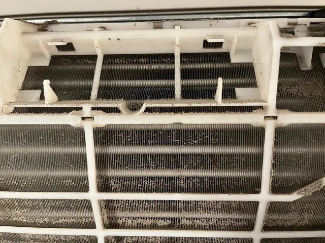 特別キャンペーン！11月中にご予約頂いたお客様限定価格になります！サービスの画像