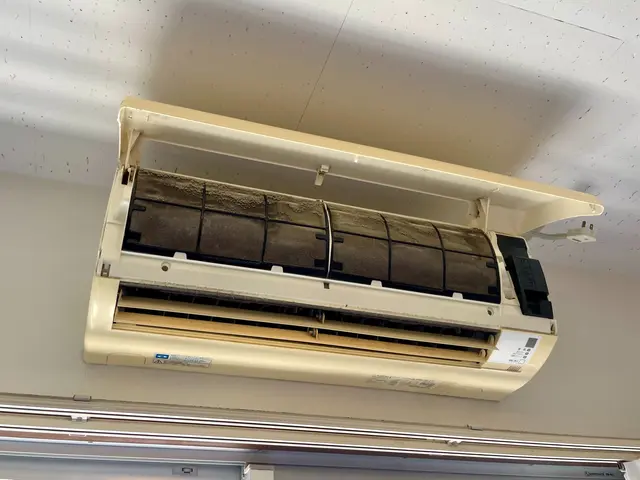 特別キャンペーン！11月中にご予約頂いたお客様限定価格になります！サービスの画像