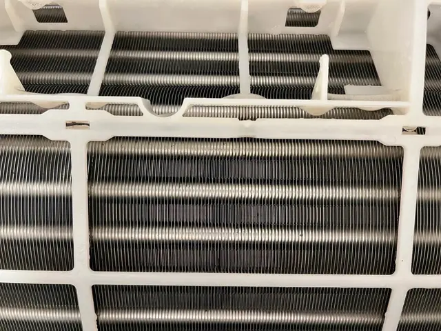 特別キャンペーン！11月中にご予約頂いたお客様限定価格になります！サービスの画像