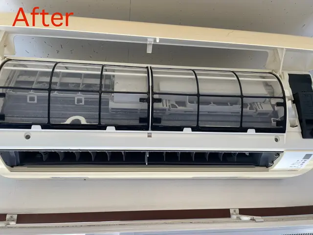 特別キャンペーン！11月中にご予約頂いたお客様限定価格になります！サービスの画像