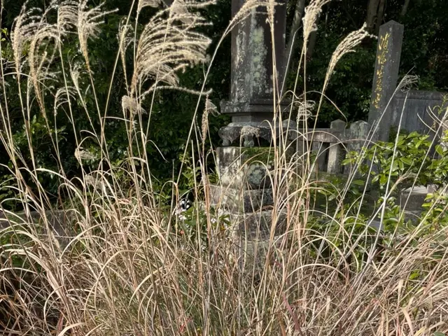 お墓参り代行　◎合掌礼拝◎墓石清掃◎草取◎剪定◎線香・供花代込サービスの画像