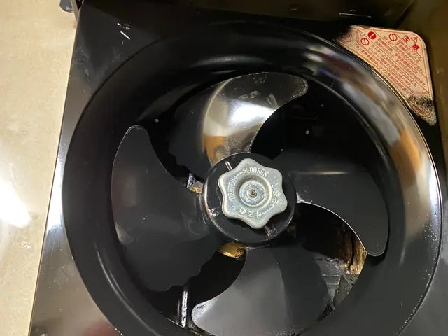 ◎ 油汚れをしっかり除去。ベトベトからサラサラへ！サービスの画像