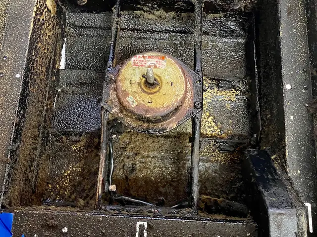 ◎ 油汚れをしっかり除去。ベトベトからサラサラへ！サービスの画像