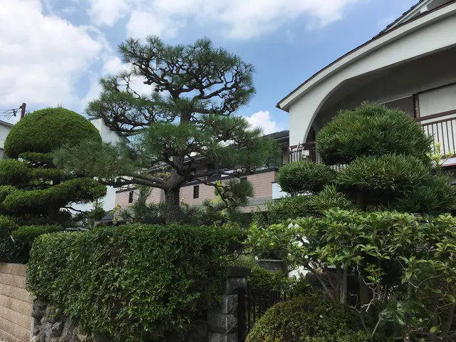 【職歴25年】親切・丁寧に対応いたします！安心の損害保険加入済み◎サービスの画像