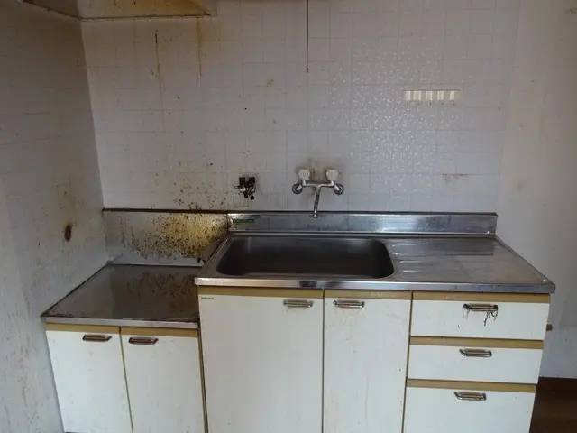 ＜プロの技術でキレイに＞カードPAYPAY払い可能◎安心の損害保険加入済み！サービスの画像