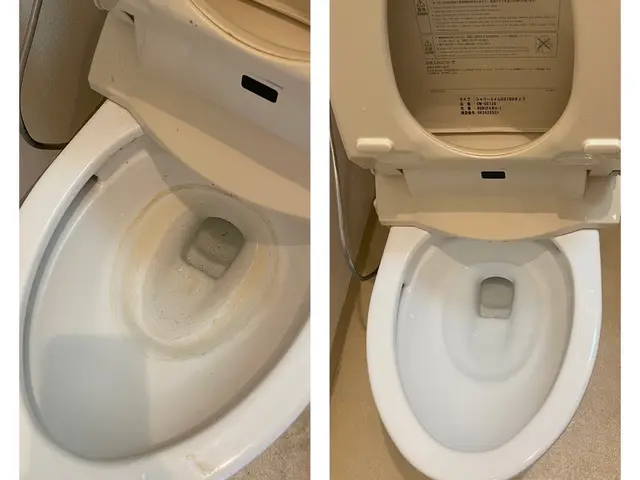 プロの技術でご満足いただけるように心を込めて作業いたしますサービスの画像