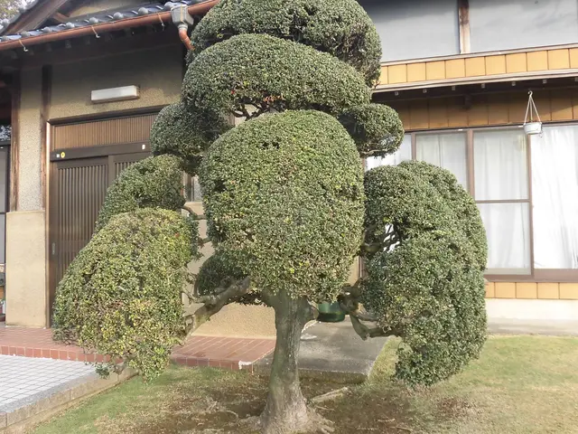 【☆地域密着で営業中☆】安心してお気軽にご相談ください！！サービスの画像