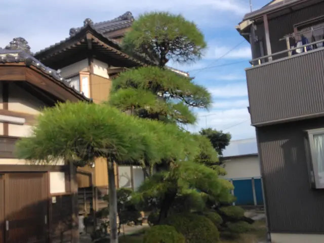 【☆地域密着で営業中☆】安心してお気軽にご相談ください！！サービスの画像