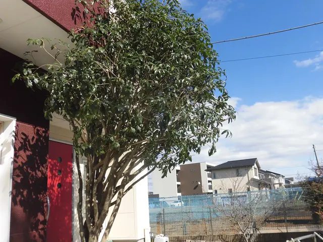 【☆地域密着で営業中☆】安心してお気軽にご相談ください！！サービスの画像