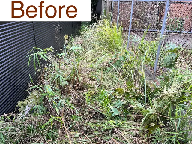 野球バカの草刈りどうでしょう？サービスの画像