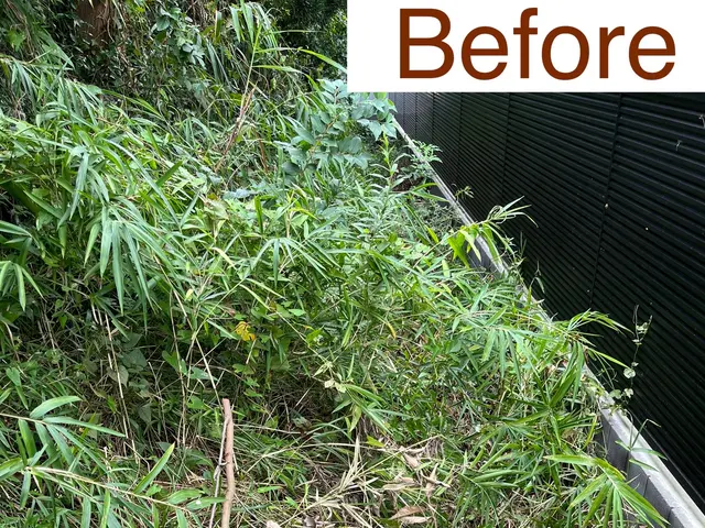 野球バカの草刈りどうでしょう？サービスの画像