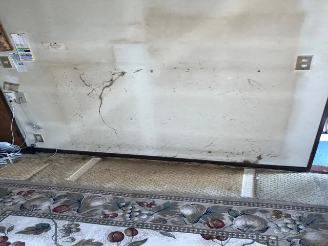 《女性スタッフ同行可能◎》遺品整理士が伺います！お困りごとを解決します！サービスの画像