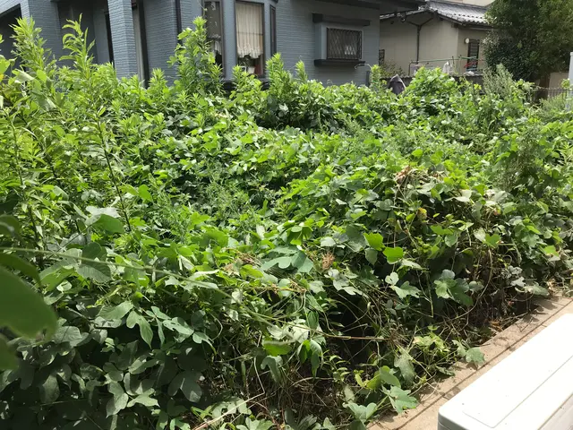 ♣︎カード PayPay♣︎○除草○外観管理○芝刈り○手付かずの庭○苦情対応○等サービスの画像