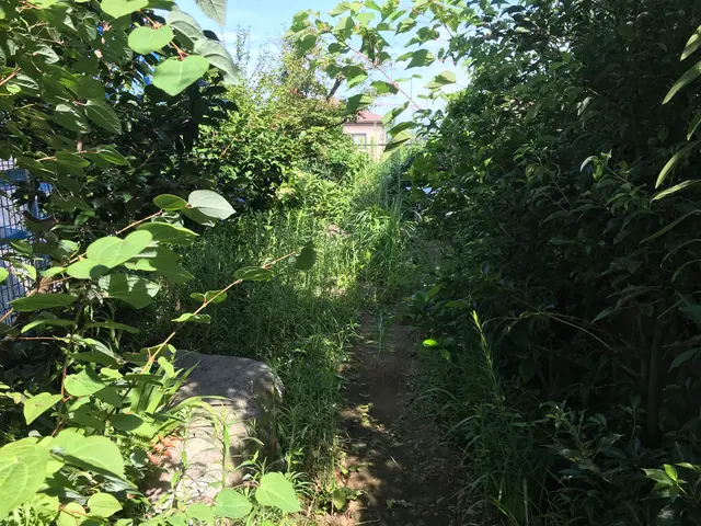 ♣︎カード PayPay♣︎○除草○外観管理○芝刈り○手付かずの庭○苦情対応○等サービスの画像