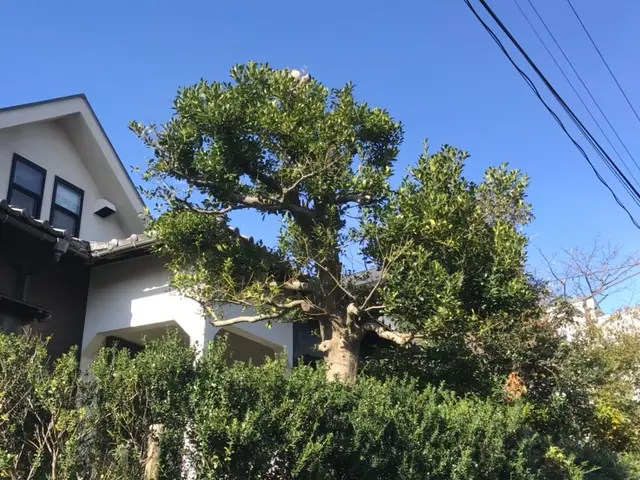 ＜年中無休＞東京都を中心に対応しております。ご要望・ご予算に合わせて丁寧に対応◎サービスの画像