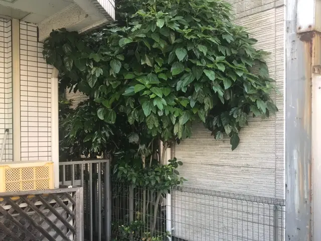 ＜年中無休＞東京都を中心に対応しております。ご要望・ご予算に合わせて丁寧に対応◎サービスの画像