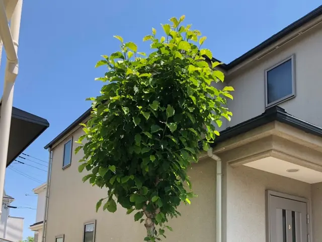 ＜年中無休＞東京都を中心に対応しております。ご要望・ご予算に合わせて丁寧に対応◎サービスの画像