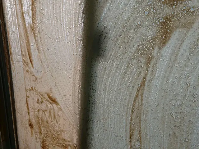 【 業歴30年の経験実績 】女性スタッフ同行OK！  プロの窓サッシクリーニングサービスの画像