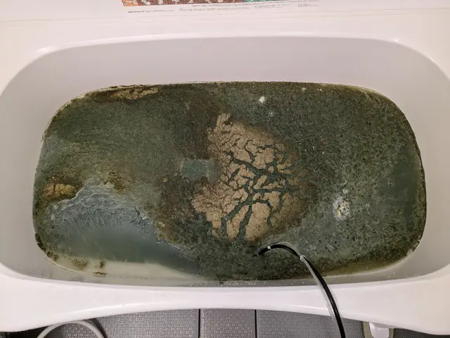 ☆マイクロバブルと専用洗剤で風呂釜の奥の汚れを驚くほどスッキリ落とします！☆サービスの画像