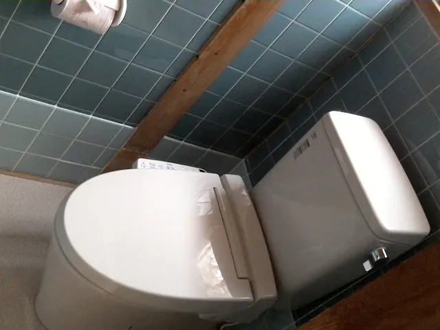 ◉トイレクリーニング☆11月20日よりご予約受付中です。サービスの画像