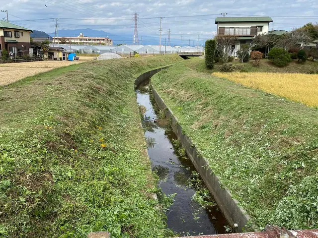 伸び過ぎた雑草・お庭の草刈り・耕作放棄地・広範囲の草刈りなど　お任せください。サービスの画像