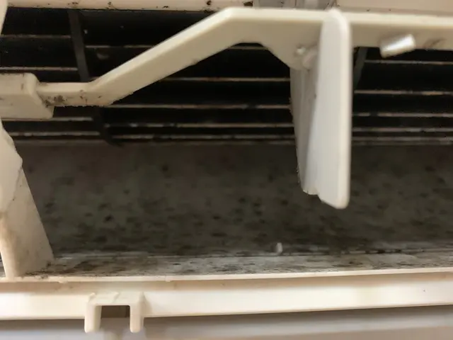 ☆特典付き！エアコンクリーニング以外のサービス付き！お客様のご希望にお応えしますサービスの画像