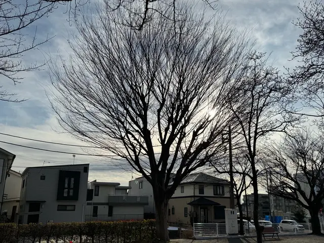 営業時間外対応可能！明るいお庭に！サービスの画像