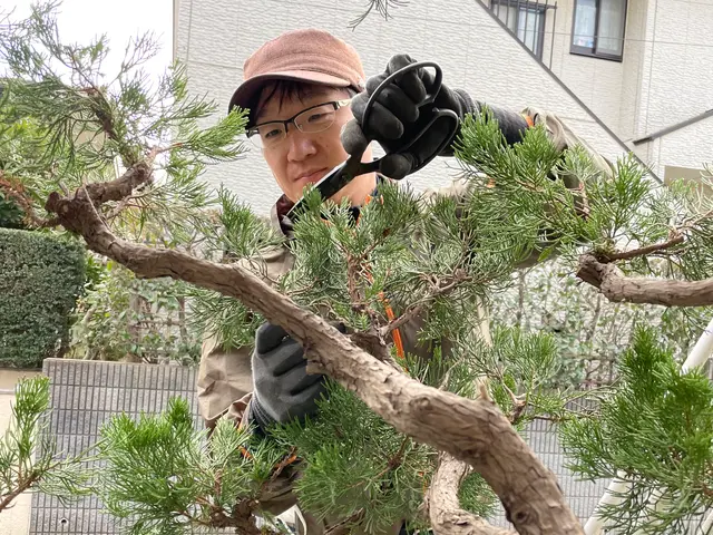 【大切なお庭をさらに素敵に】業歴10年☆　 一本一本丁寧に作業致します！サービスの画像