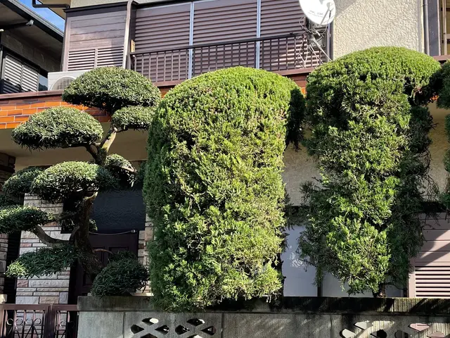 【大切なお庭をさらに素敵に】業歴10年☆　 一本一本丁寧に作業致します！サービスの画像