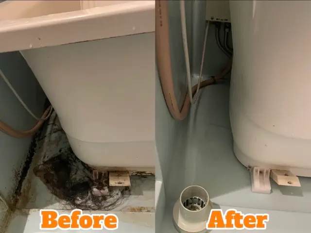 すべてのご依頼を女性スタッフが訪問！お子様やペットがいるご家庭もご安心ください！サービスの画像