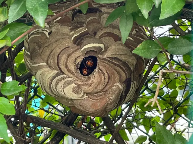 【業歴30年の実績】完全自社対応！営業時間外も対応可◎アフターフォローも万全サービスの画像