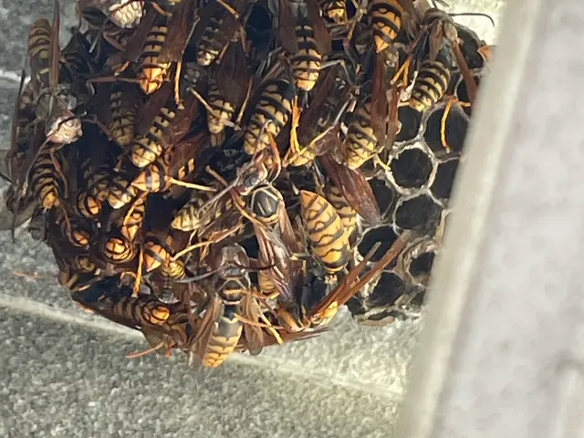 【業歴30年の実績】完全自社対応！営業時間外も対応可◎アフターフォローも万全サービスの画像