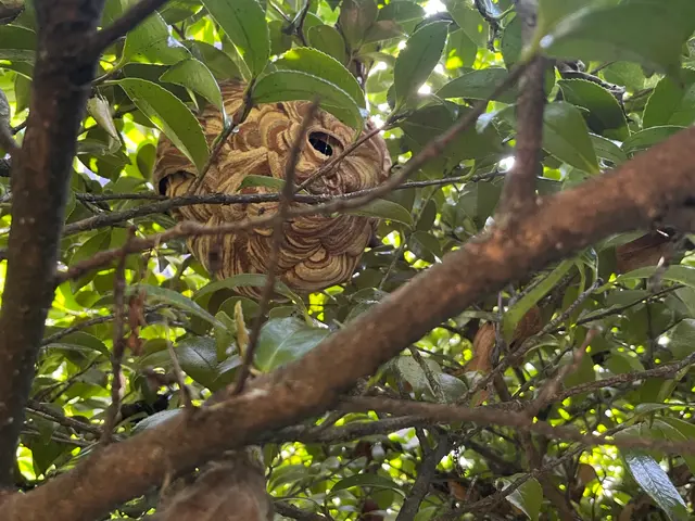 【業歴30年の実績】完全自社対応！営業時間外も対応可◎アフターフォローも万全サービスの画像