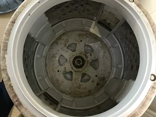 洗濯機の完全分解清掃はお任せ下さい！サービスの画像